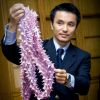 Японский день в Международной Школе Дизайна