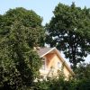 Мастер-класс «Практика по ландшафтному дизайну в поселке «Сокол»